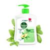 Dettol Plant Care Antibacterial Hand Wash