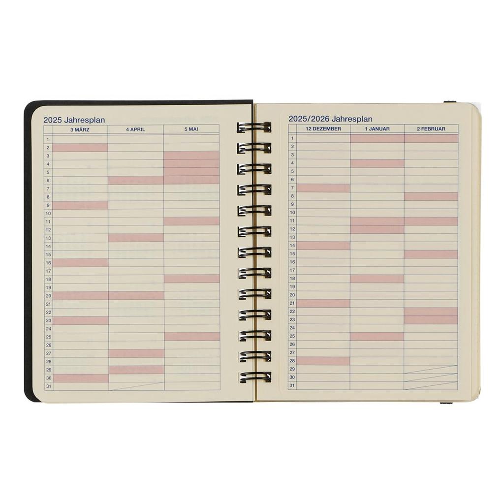 Delfonics Planner 2025-2026 Edition (Starts March 2025) Rollbahn Metallic Medium Monthly Planner (Pearl White)