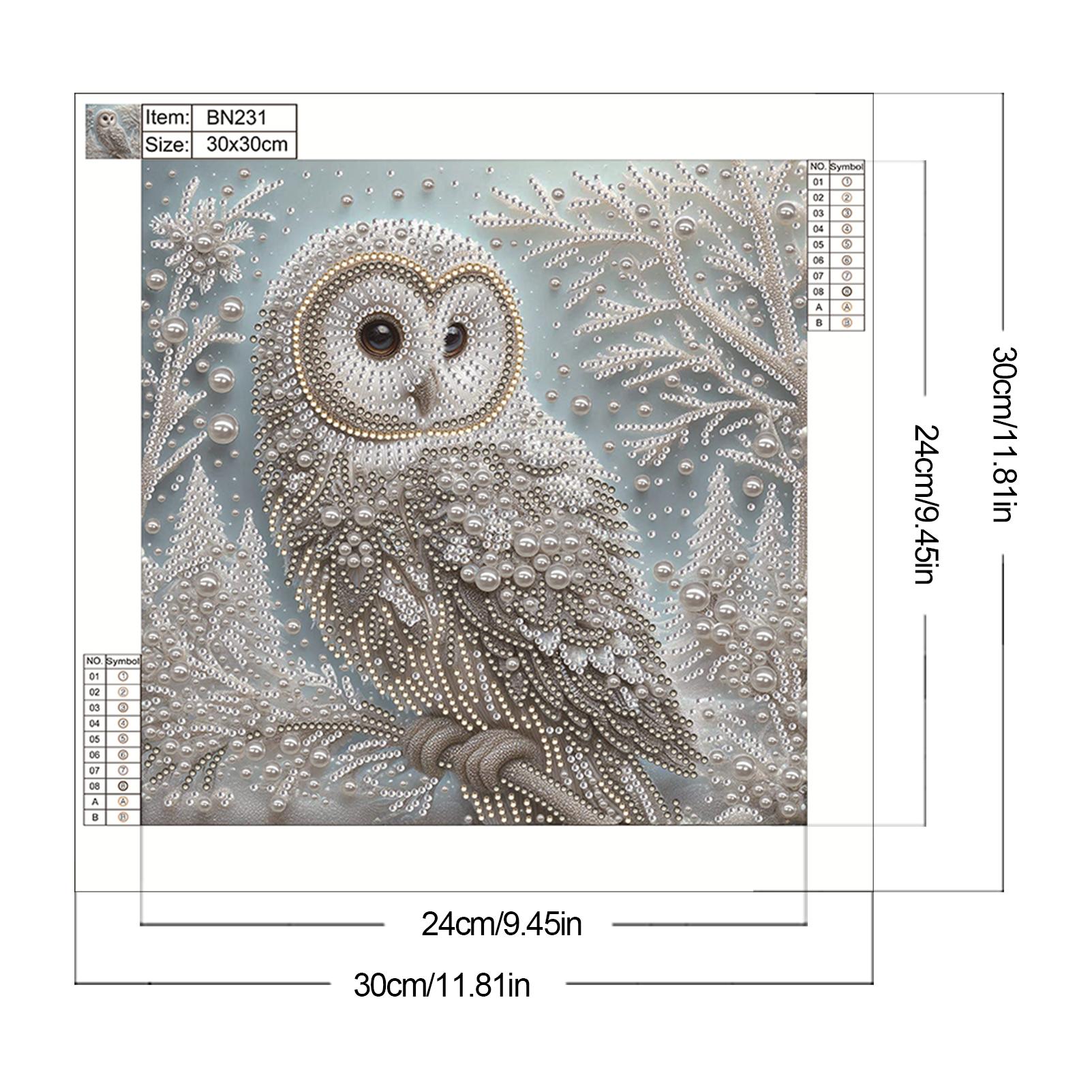 

Owl Special Shaped 5D DIY Partial Drill Diamond Paintings for Adults Frameless Diamond Mosaic Gem Art for Home & Office Decor