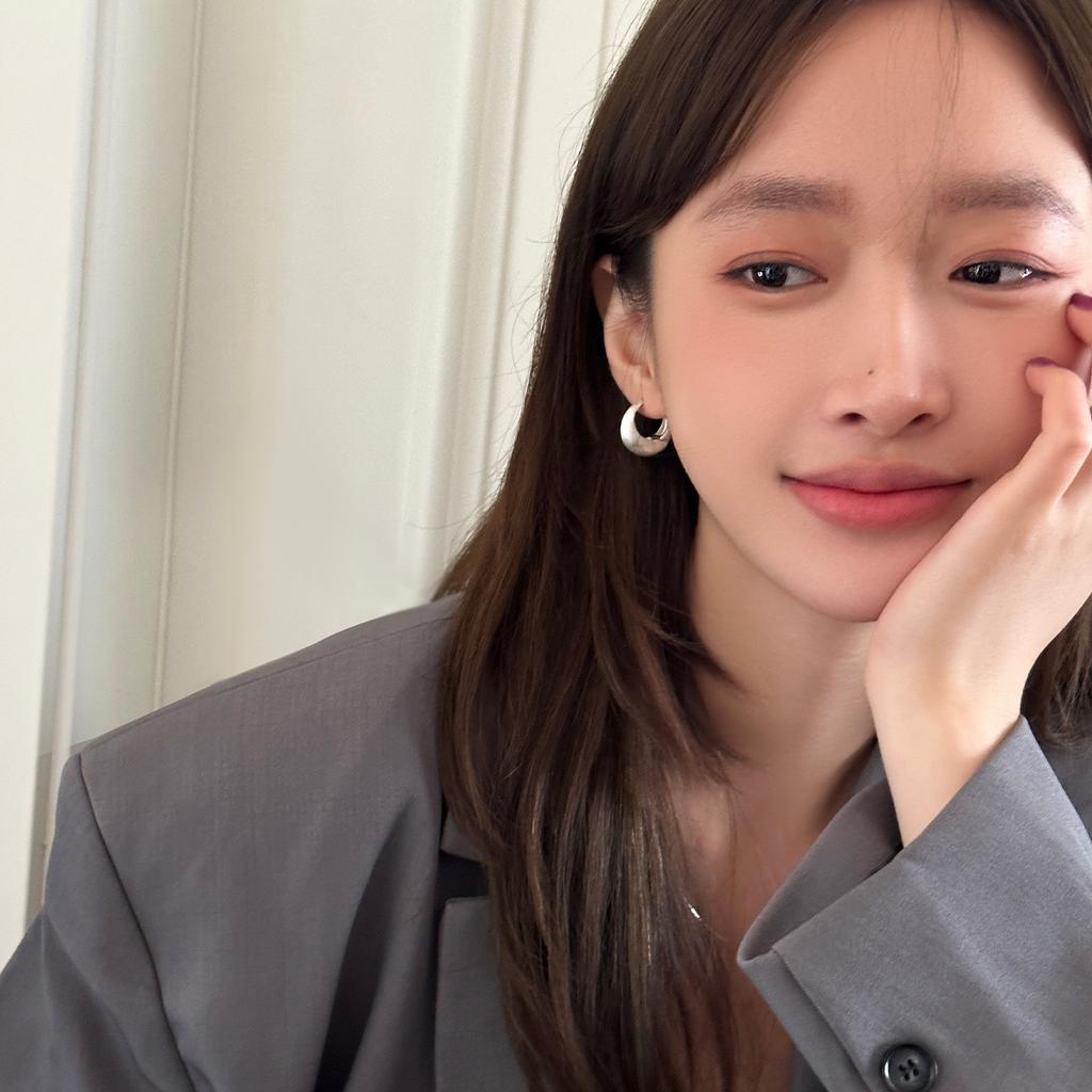 Light luxury brushed plain ring earrings women's niche fashion cold wind silver needle earrings versatile autumn and winter ear buckles