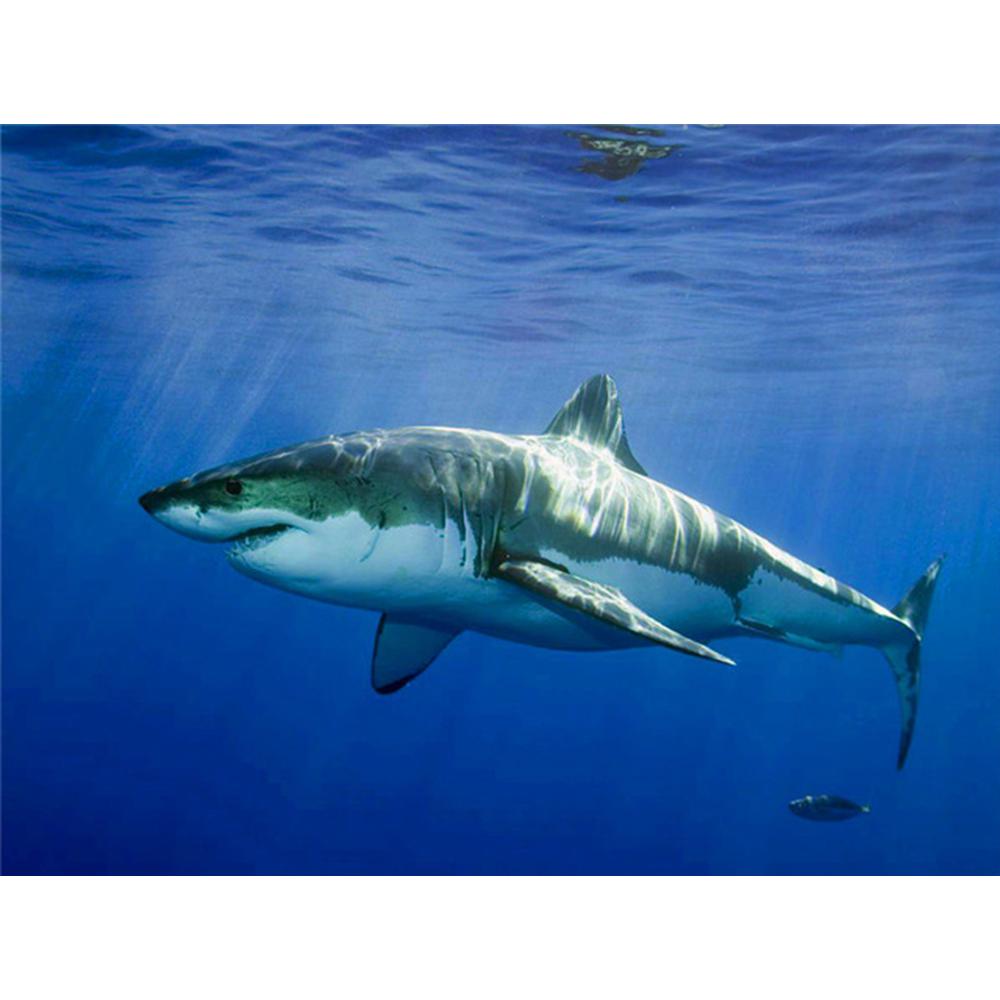 5D DIY Diamant Malerei Set Tier Hai Bilder von Strass Diamant Stickerei Verkauf Mosaik Kreuzstich Dekor