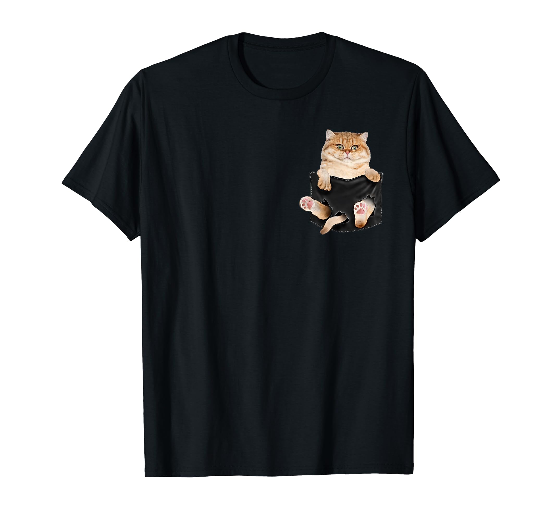 An exotic short-haired cat in a pocket. T-shirt
