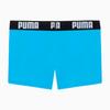 Puma Swim Trunks Swim Logo 93813904 R 116