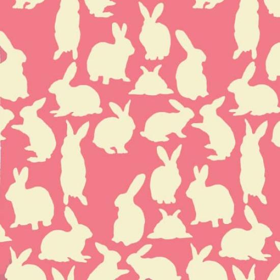 Dyeing Anbo Tenugui Authentic Dyed Cotton Tokuoka Made In Japan 35cm X 100cm "Usausa Salmon" 100%