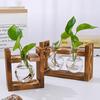 Plants Propagation Station with Wooden Stand Indoor Plant Terrarium Hydroponic Flower Holder Container Decoration Table Centerpiece