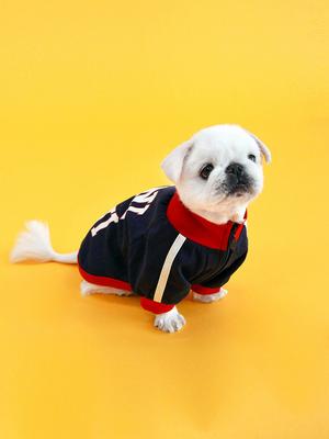 MEHR LESEN TRAINING ZIPUP-DUNKELBLAU(Mit Reißverschluss)