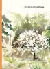 The Book of Tree Poems by Ana Sampson Hardback Book 9781399609098