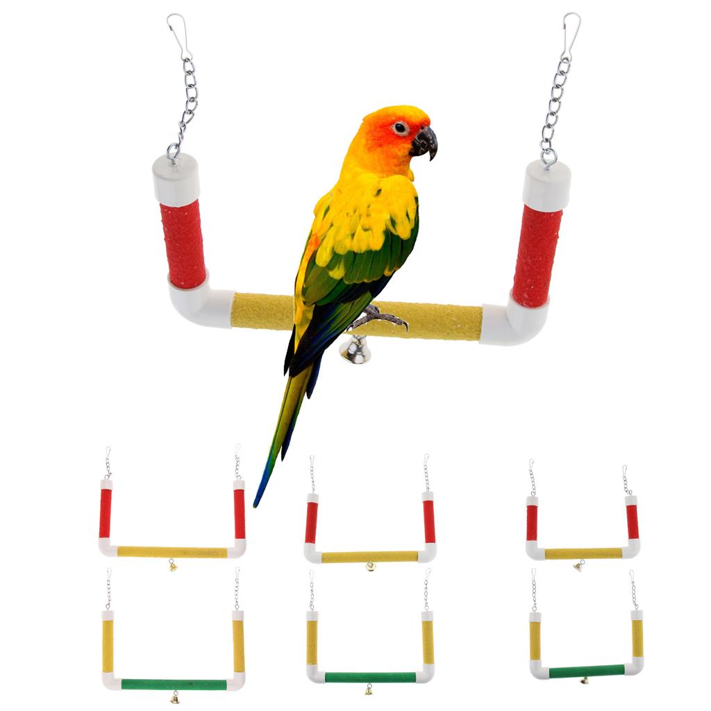 bird stands for parrots