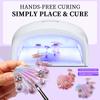 1Set Mermaid Shells Laser Aurora Ice Penetration Magnetic Nail Holder False Tips Practice Stand Nail Art Display Salon Diy Tools