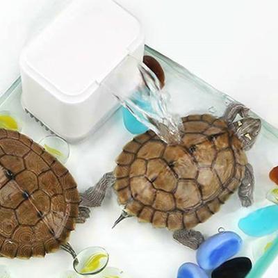 Wycisz 3 w 1 wewnętrzny filtr niskiego poziomu wody do miski żółwia