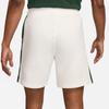 Nike M NSW SP SHORT FT men's shorts fleece sail/fir