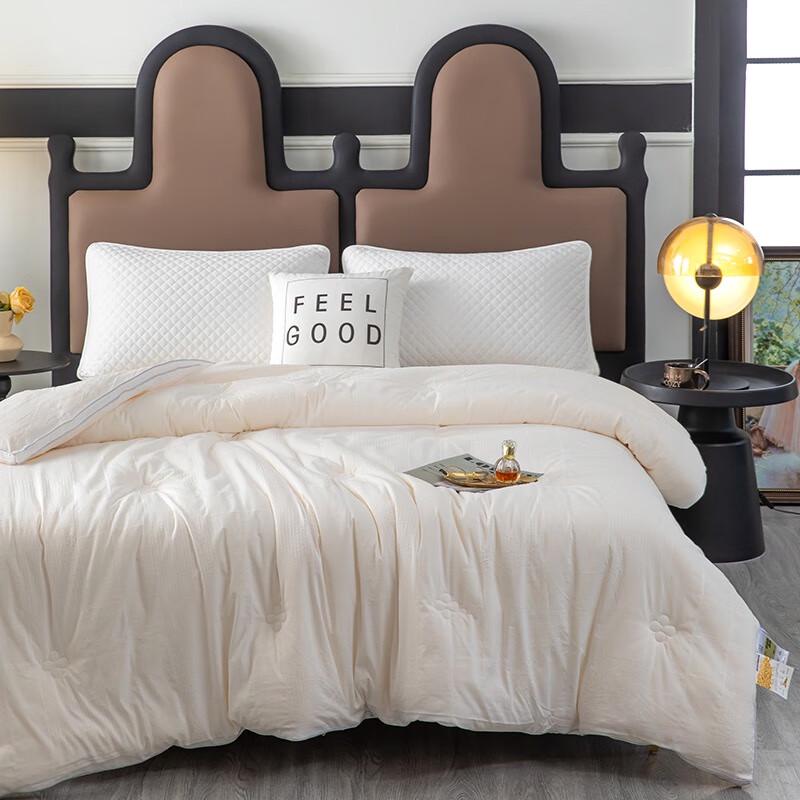 

Cloud-Feel Warm Core Soybean Quilt