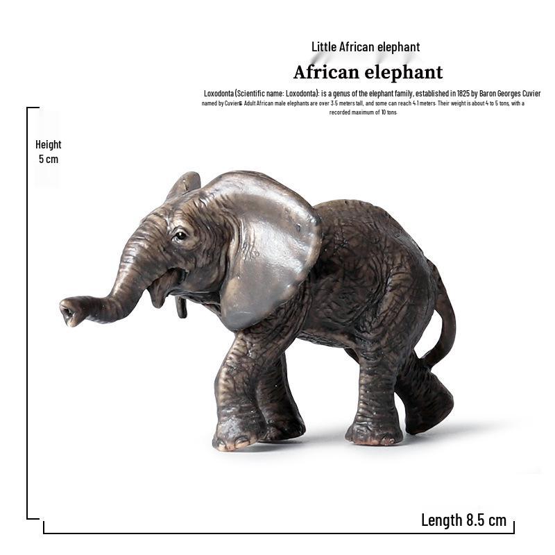 Kids Solid Animal World Model: Asian & African Elephant Figures