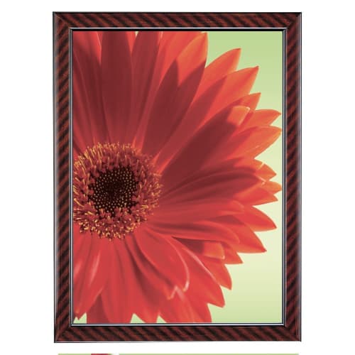 KOKUYO Picture Frame Gold Rack Certificate A3 Ka-22N