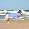 Kleding en schoenen – Vesten en shirts voor honden