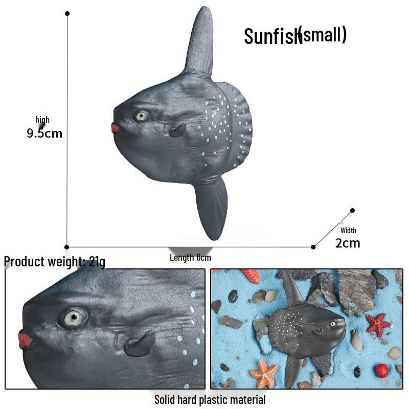 Kids Educational Marine Life Animal Models: Squid & Octopus Family