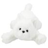 Nitori Plush Toy Samoyed Small BI25 2116100007646