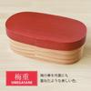 bento box made from Kyushu 500ml oval single natural wood urethane Cute and Japanese-made (URARA) cedar, capacity, shape, layer, stylish, finish,