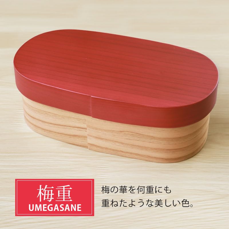 bento box made from Kyushu 500ml oval single natural wood urethane Cute and Japanese-made (URARA) cedar, capacity, shape, layer, stylish, finish,