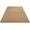 yangyizhi Entrance Rug, Solid Color Anti-Slip Absorbent Washable Door Mat for Bathroom Living Room Kitchen