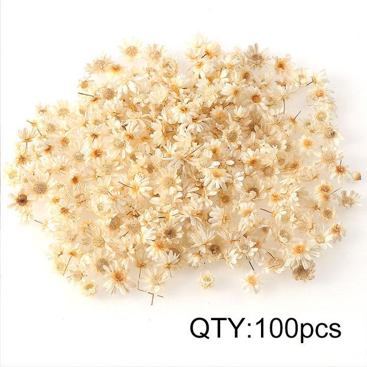 Natural Star Flower DIY Wreath Filler for Wedding Decorations