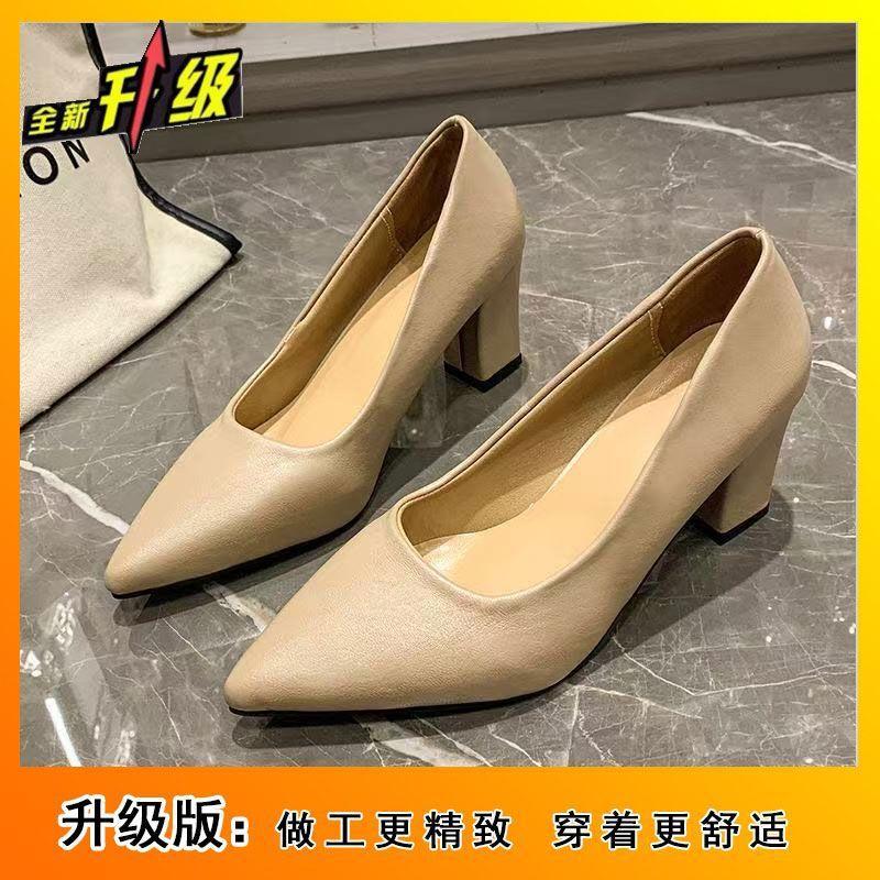 2025 Spring, Summer and Autumn Design Sense Niche with Skirt Not Tired Feet Single Shoes Small Pointed Thick Heel Temperament High Heels