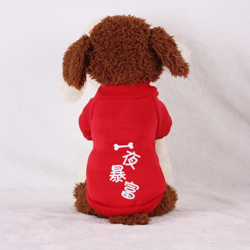 Autumn & Winter Sweatshirts for Cats and Dogs - Two-Legged for Teddy, Corgi, Bichon, Small Dogs, Puppies, and Cats.