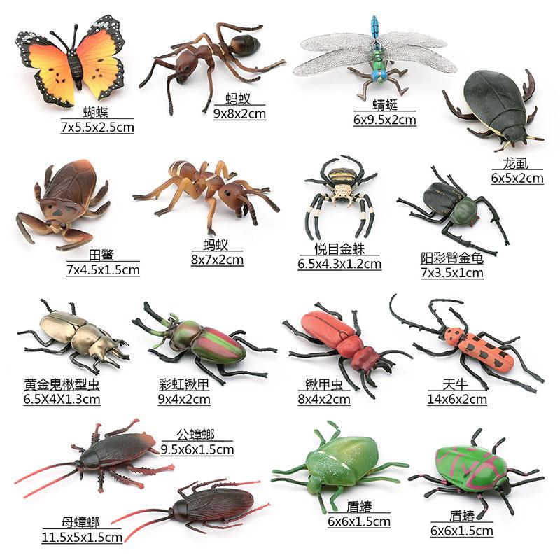 Simulation Of 16 Insects, Animal Models, Butterflies, Beetles, Spiders, Ants, Dragonflies, Cockroaches, Oxen Shields, Bugs, Static Ornaments