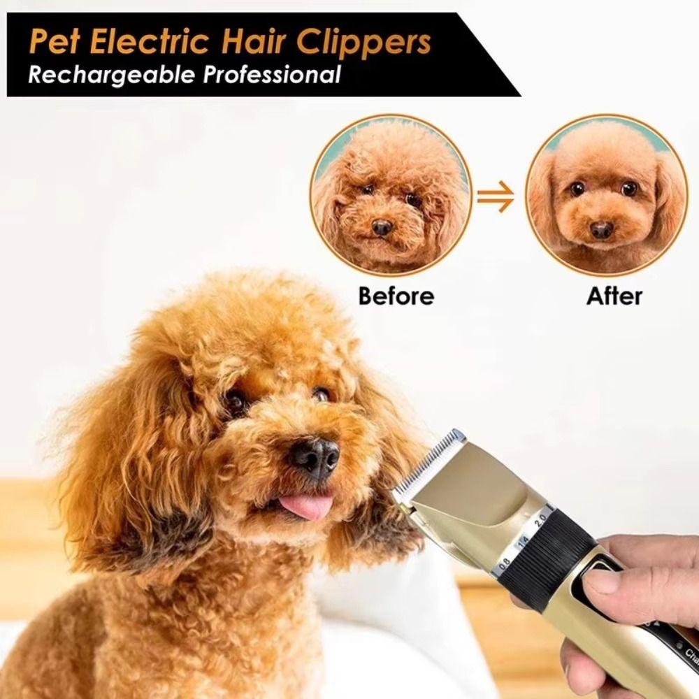 Professional USB Rechargeable Dog Hair Clippers Silent 4-in-1 Electric Pet Grooming Tool Pet Hair Trimmer Dog Grooming