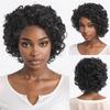 Synthetic Wig for Black Women Afro Curly Hair Balck Mix Grey Old Woman Wig Daily Cosplay Halloween Party Heat Resistant