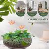 Lotus Bowl Planter Large Opening Ceramic Lotus Flowerpot Glazed Goldfish Bowl Bonsai Bowl Lotus Pot for Hydroponics Plants Daffodil