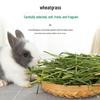 Jiexi Natural Hay & Grass Feed for Small Pets
