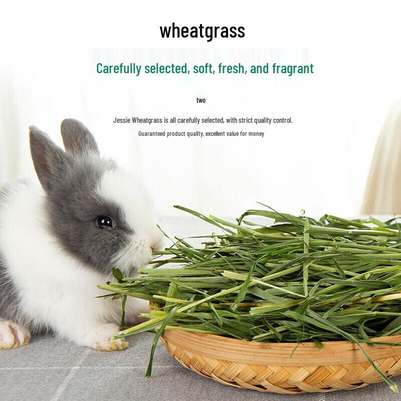 Jiexi Natural Hay & Grass Feed for Small Pets