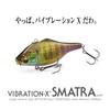 Megabass VIBRATION-X SMATRA (SILENT) GP Megabass Sexy Shad II 64.5mm