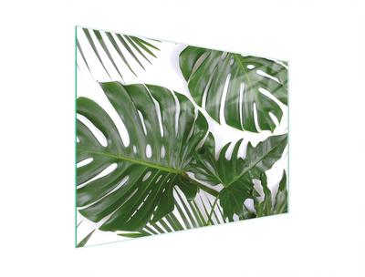 SZKLANA DESKA DO KROEJNIA 30x22 MONSTERA
