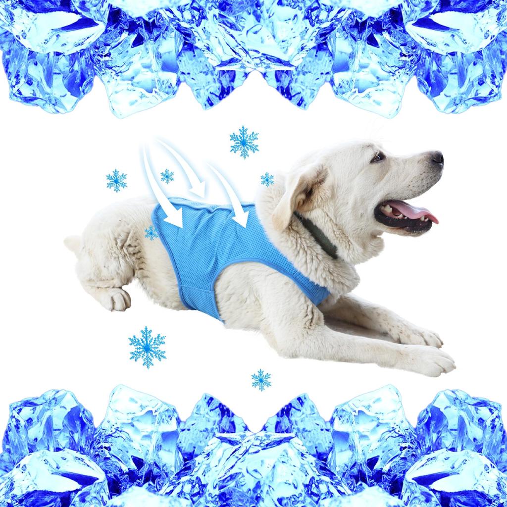 Pet Cooling Vest: Summer Ice-Feel Short Sleeve for Cats & Dogs, PVA Material