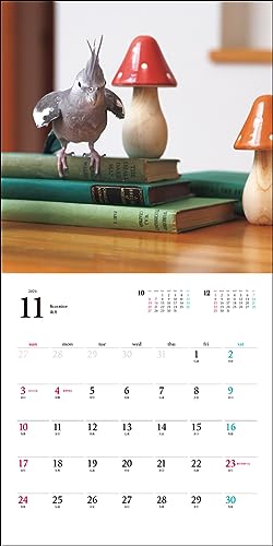 2024 Calendar Cockatiel (Seibundo Shinkosha Calendar)