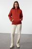Women's Fashionable Stylish Sweatshirt Mink Thick Fleece Inside Oversize Wide Fit Hooded Basic Knitted Sweatshirt