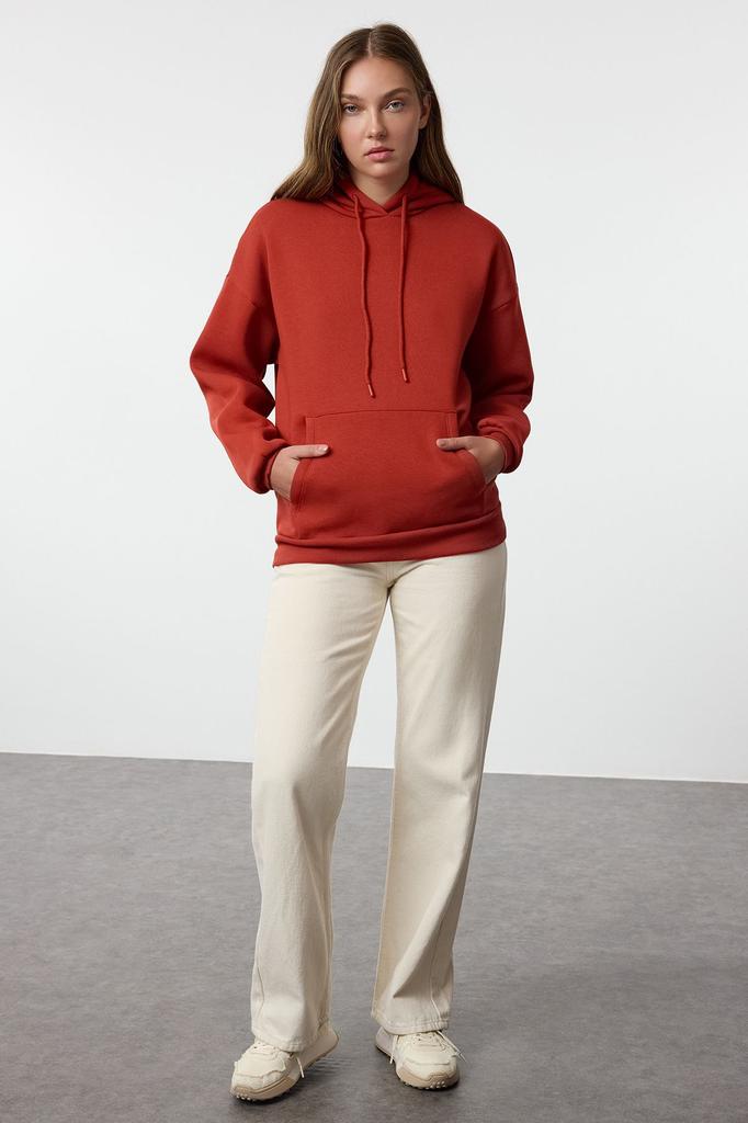 Women's Fashionable Stylish Sweatshirt Mink Thick Fleece Inside Oversize Wide Fit Hooded Basic Knitted Sweatshirt