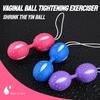 Smart Silicone Ball Vibrator Kegel Ball Vagina Tighten Exercise Machine Sex Toy G-Spot Vibration for Women Masturbator Massage