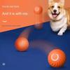 Dog Toys Intelligent Gravity Jump Ball Rechargeable Bite-Resistant Rolling Ball Cat and Dog Chase Interactive Pet Toys