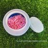 5Pcs Fishing Live Baits Box Breathable Holes Design Compact Lightweight Portable Fishing Lures Box with Lid Baits Case