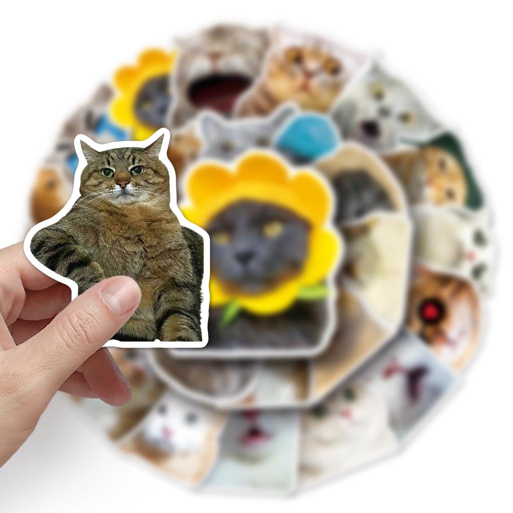 50 Internet Celebrity Cat Emoticons Packs Graffiti Personalized Hot DIY Mobile Suitcase Stickers Waterproof