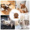 Cat Scratching Post Kitten Boredom Relief Toy Creative Cat Scratching Ball Integrated Climbing Frame For Bedroom Indoors