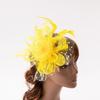 Flower Mesh Feathers Fascinator Hat Hoop Bride Headdress Bride Headdress  Dance Show