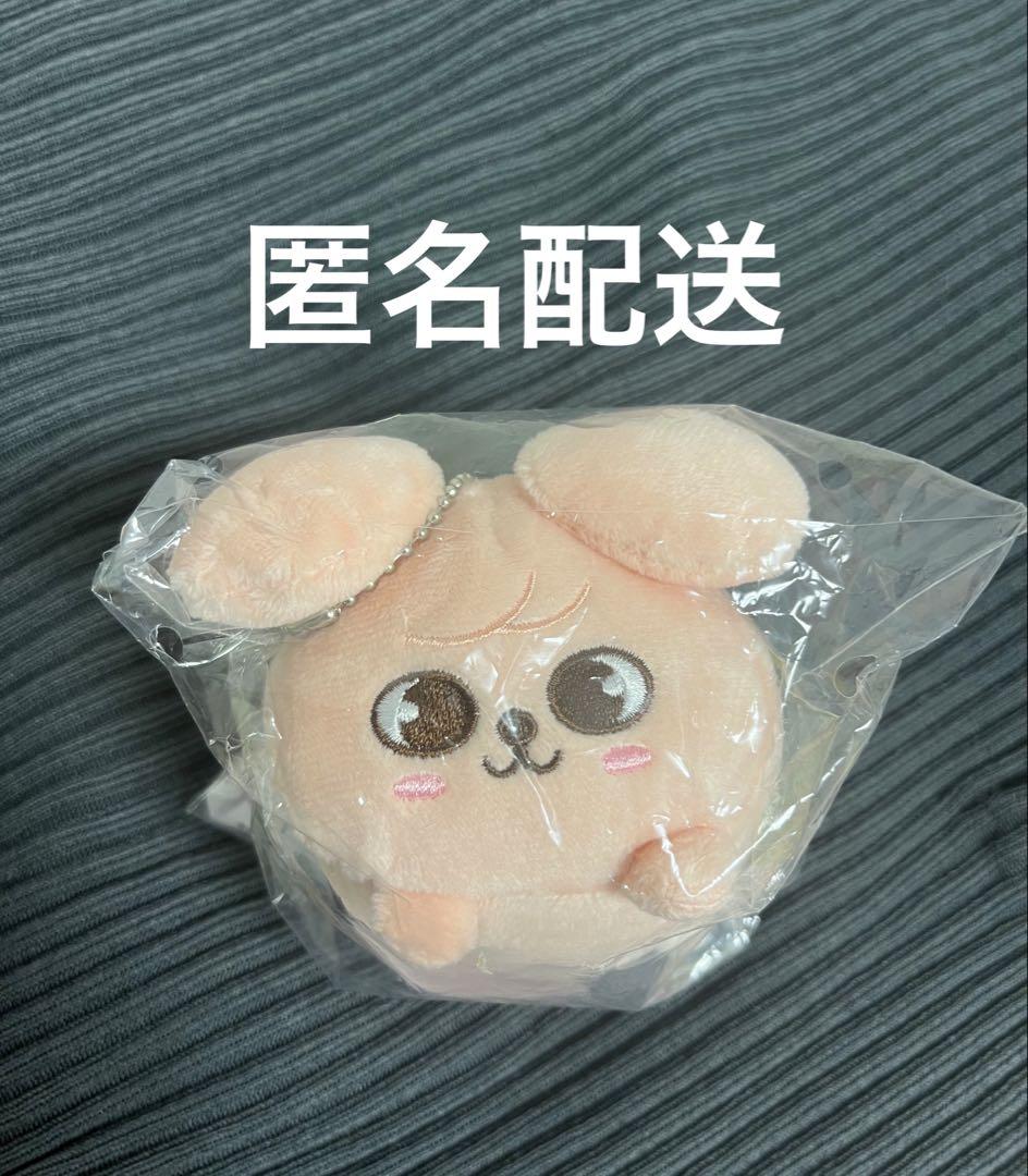 

[USED] Seungmin Plush Toy PuppyM Mini PuppyM Bag Charm