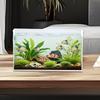 Small Aquarium Betta Tank Frameless Extra Clear Bowl For Crab Spider Terrariums Mini Habitat Temporary Space Men Women Nature