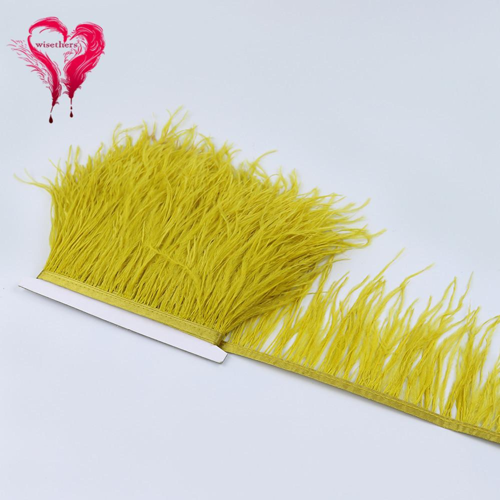 Ostrich Hair Cloth Edge Dress Dress Accessories Skirt Feather Trim With 10-15Cm Tassel
