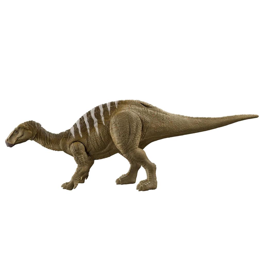Mattel Jurassic World New Ruler Action Figure, Roaring Iguanodon (Length: Approx. 29.4cm), Ages 4 and Up, HDX41