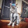 Waterproof Outdoor Large Dog Raincoat Reflective Sunscreen Jacket Pet Hoodie Medium-Large Size Clothes Raincoat Jumpsuit
